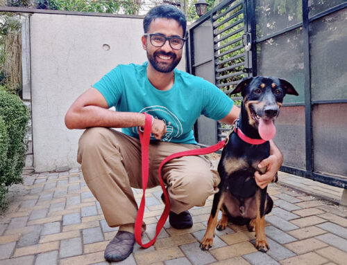 The World Through a Dog’s Nose – The Science and Joy of Scentwork