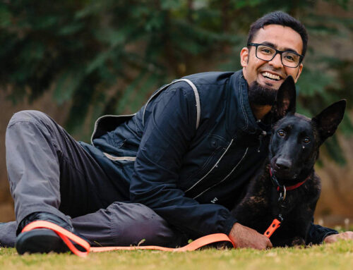 The World Through a Dog’s Nose – Scentwork Games