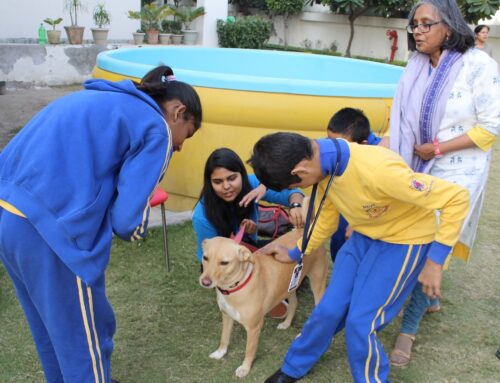 Feeding Re-defined: A Practical Handbook